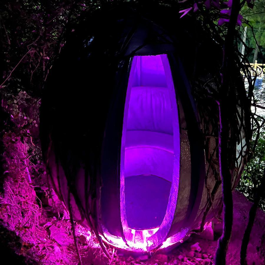 The Meditation Pod